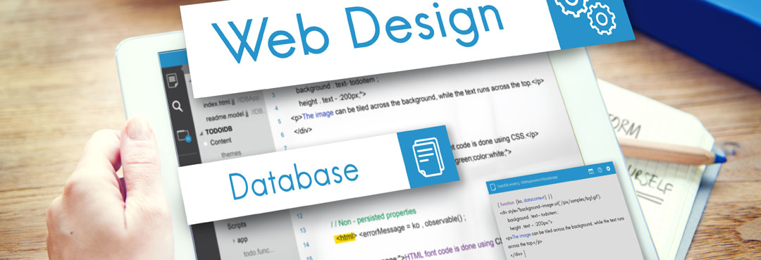 Desarrollo Web